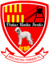 Bedlington Terriers FC logo