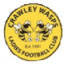 Crawley Wasps W logo