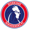 Dorking Wanderers W logo