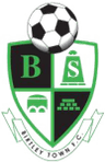 Birtley Town W logo