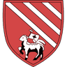 Droylsden logo