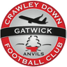 Crawley Down Gatwick logo